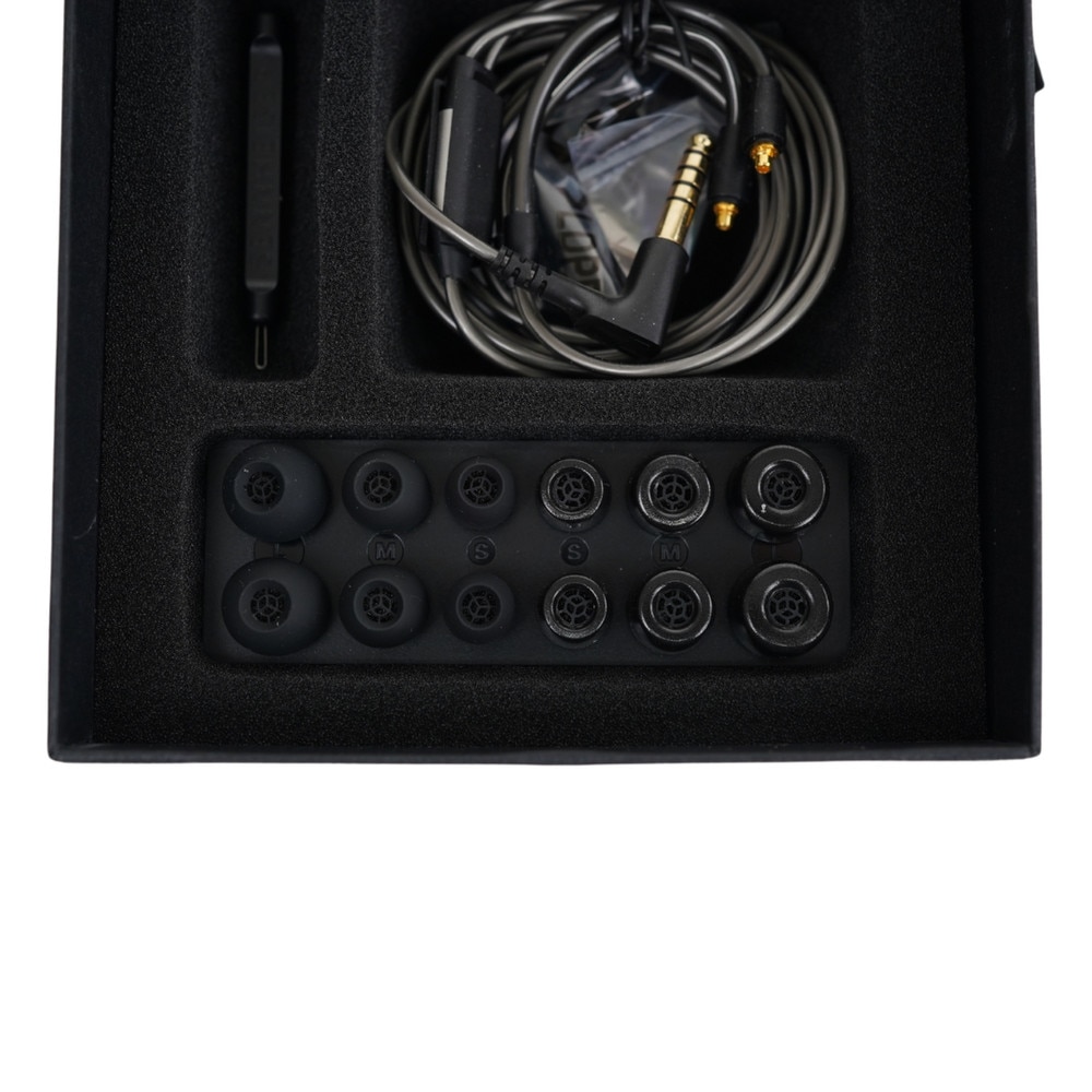 Sennheiser IE 600 in-Ear Audiophile Headphones (IE600) | New 10